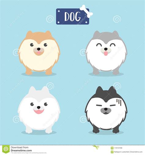 Pomeranian Cartoons Illustrations And Vector Stock Images