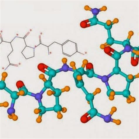 Biomoleculas Organicas Lizi Ciencia Podcast En Ivoox