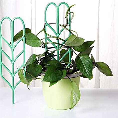 Top 10 Best Plant Supports For Small Potted Plants Top Reviews No