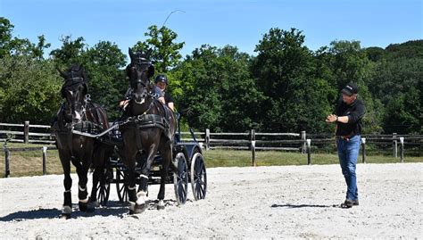 Les Haras Nationaux Ifce