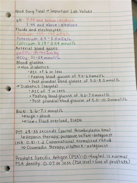 Pin By Stephanie Simms On Nursing Nurse Study Notes Nursing School