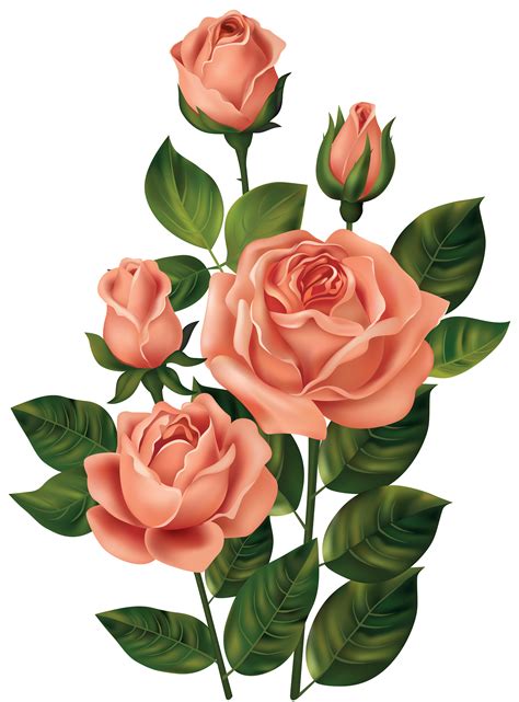 Beautiful Stem Red Rose Png Clipart Red Rose Png Rose Flower Png Red