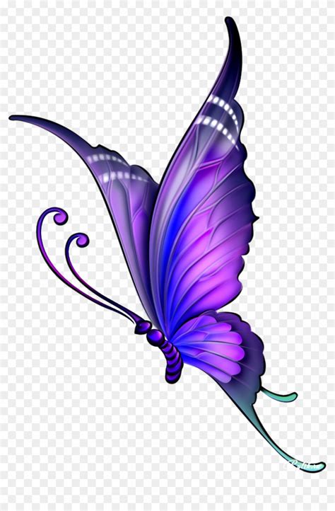 Simple Butterfly Flower Drawing Colour Justindrew