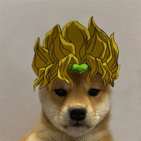 Dio Dogwifhat Dogwifhat Know Your Meme