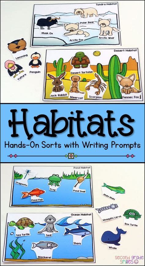 These Habitat Sorting Mats Are Perfect For Science Centers Students
