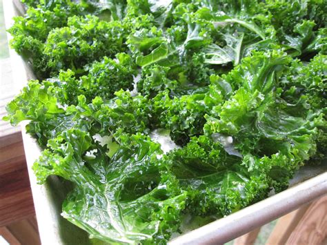 Kale Chip Recipe Kale From The Farmers Market Killer Bunnies Inc