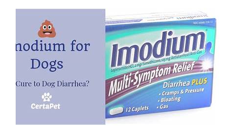 Imodium For Dogs Diarrhea Dosage Chart