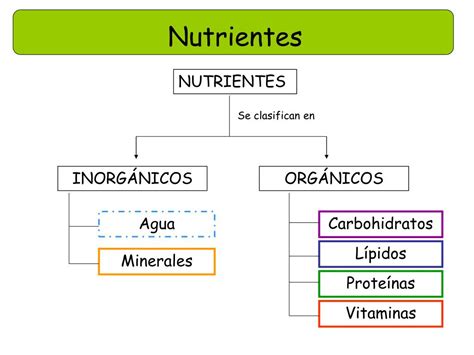 Como Se Clasifican Los Nutrientes Images And Photos Finder