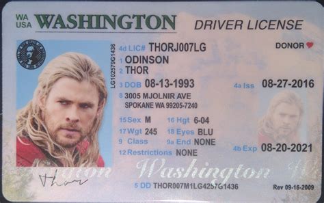 Lost or stolen driver's license if your license is lost, destroyed, or becomes illegible, but has not yet expired, you should apply for a duplicate license at the license department with acceptable identification. Washington (WA) Drivers License - ID Viking