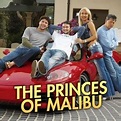 The Princes of Malibu - Rotten Tomatoes