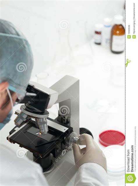 Scientist Conducting Genetic Research Stock Photo Image Of Focus