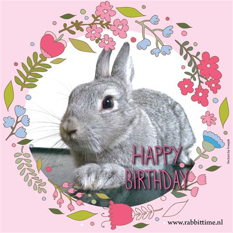 Happy Birthday Rabbittimenl Birthday Critter Bunny