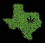 Texas Marijuana Photos