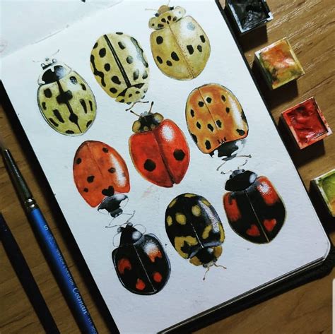 Some Amazing Bug Art From A Melbourne Artist Who Draws The Bugs She