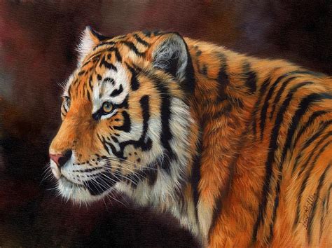 Tiger Portrait Painting By David Stribbling