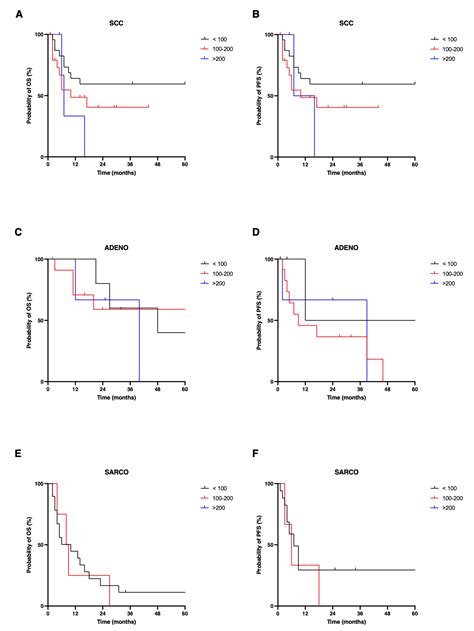 Cancers Free Full Text Expression Of Nectin In Variant