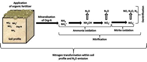 Nitrous Oxide Emissions By Nitrification And Denitrification During