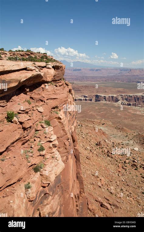 Usa Utah Canyonlands National Park Grand View Point Overlook Stock