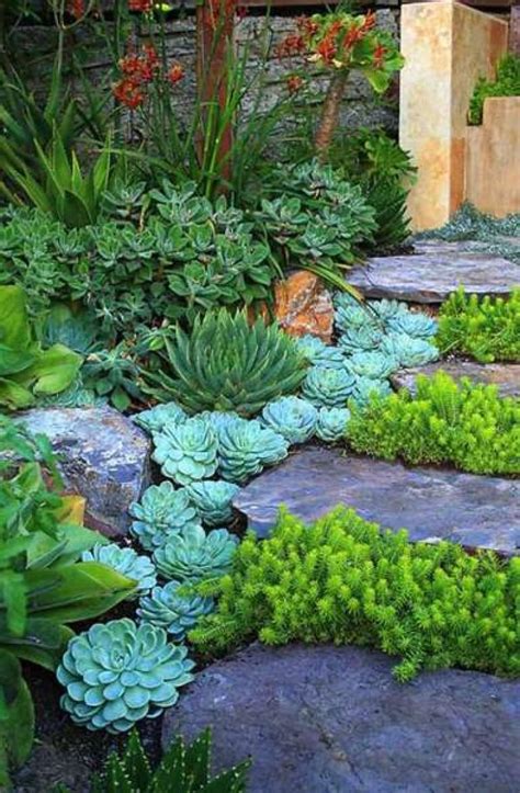 Gorgeous Succulent Garden Ideas Rock Garden Landscaping Courtyard