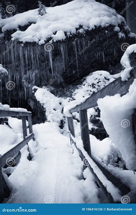 Snowy Wooden Footbridge In Beautiful Winter Scenery In Black And White