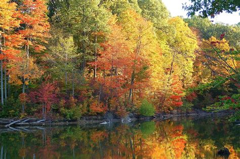 Tranquil Fall Colors By Monica Lewis