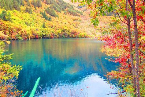 Five Flower Lake In Jiuzhaigou National Park China National Parks
