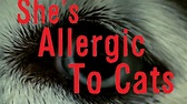 New Indie Releases: She’s Allergic to Cats (2016) Reviewed