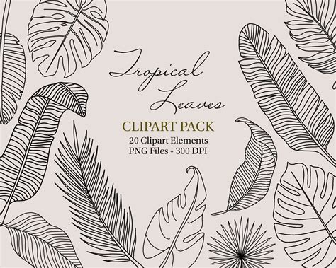 Tropical Leaves Clipart Pack Hand Drawn Doodles Monstera Etsy