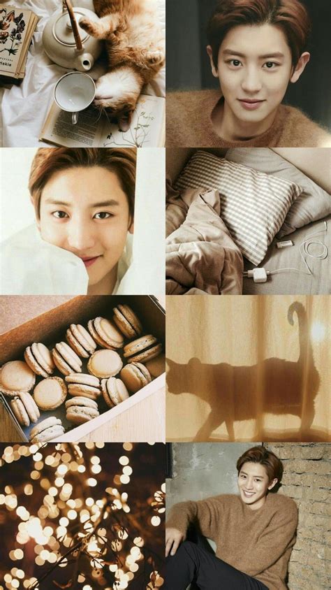 You can also upload and share your favorite exo wallpapers. EXO Chanyeol aesthetic wallpaper | Wallpaper ponsel, Aktor