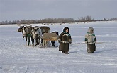The Nenets People: Survival of the Fittest in the North | Back in the ...