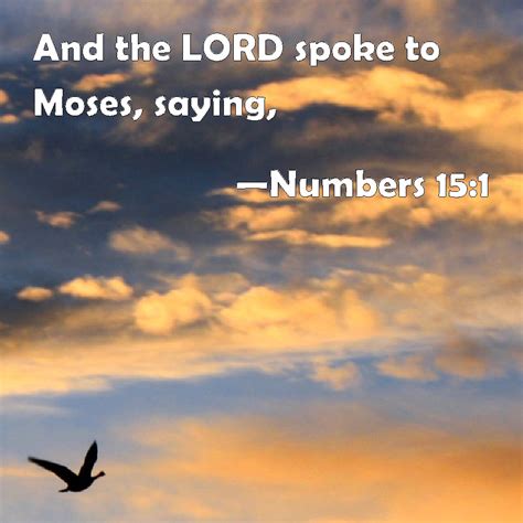Numbers 151 And The Lord Spoke To Moses Saying