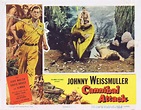 CANNIBAL ATTACK 1954 Lobby Card 8 Jungle Jim Johnny Weissmuller ...