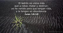 Juan 10:10 - Versículo de la Biblia - DailyVerses.net
