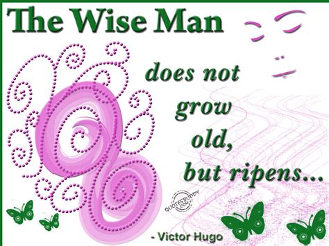 growing older and wiser quotes quotesgram