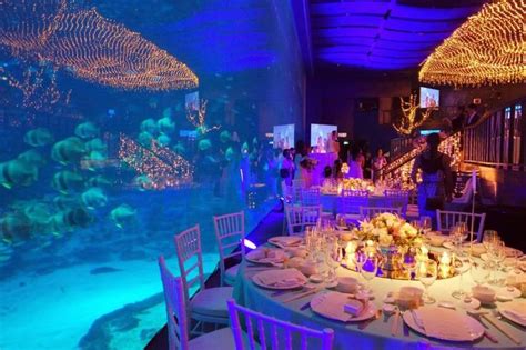Best Underwater Hotel Romantic Wedding Venue Aquarium Wedding