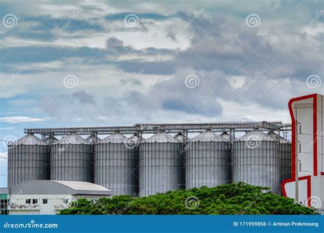 Agricultural Silo At Feed Mill Factory Big Tank For Store Grain In