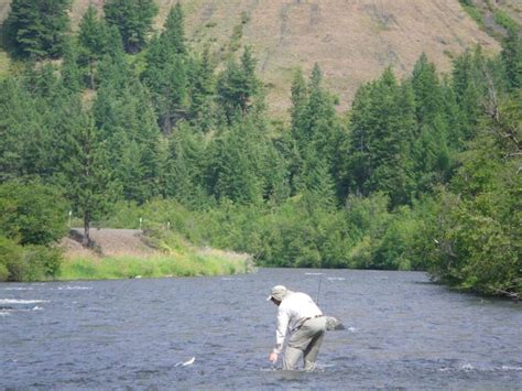 Best Fly Fishing Rivers In Oregon Best Fishing In America