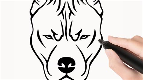 How To Draw A Pitbull Dog Face Youtube