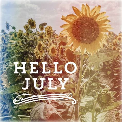 Hello July Sunflower Hello July July Images Welcome July