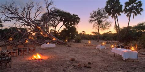 Sausage Tree Camp Luxury Camps In Zambia Yellow Zebra Safaris