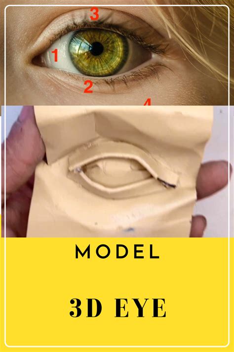 Get Inspired To Make A 3d Model Of A Human Eye For Art Integrated