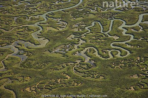 Stock Photo Of Aerial View Of River Tributaries Saltmarsh And Coast