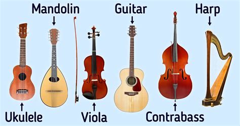 A Guide To Stringed Musical Instruments 5 Minute Crafts