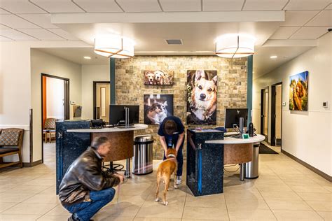 Animal Care Studio — Commercial & Veterinary Architecture - M.D