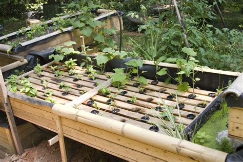 Gravity Powered System With Images Backyard Aquaponics