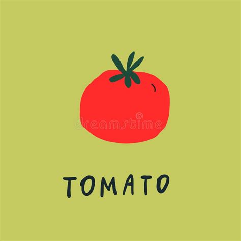 Vector Simplified Tomato Drawing Handwritten Word Stock Vector