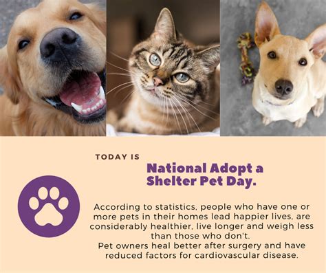 National Adopt A Shelter Pet Day Pet Day Today Is National Pets
