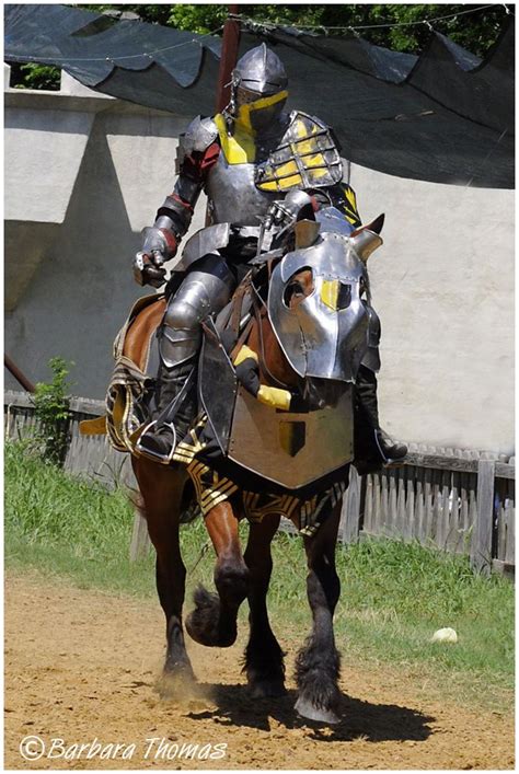 Medieval War Horse Breeds
