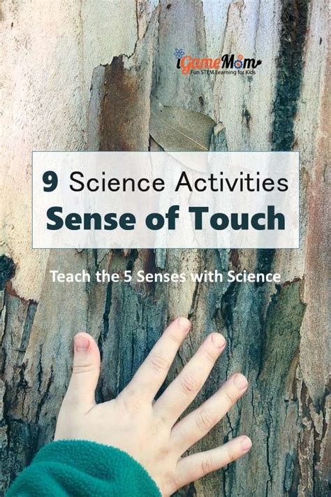 Whereas the elder one tries to protect her younger sister, a stalker begins to disturb the sisters. Science Activities for Kids to Learn about Sense of Touch