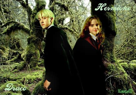 Submitted 2 years ago by blackberryberet. Dramione - Draco Malfoy & Hermione Granger Photo (23704301 ...